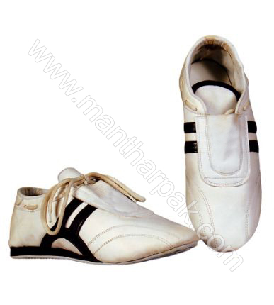 Teakwando Shoes 
