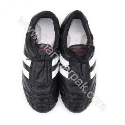 Teakwando Shoes 