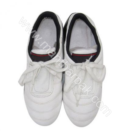 Teakwando Shoes 