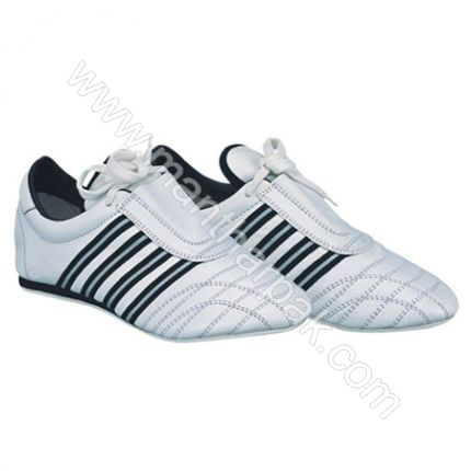 Teakwando Shoes 