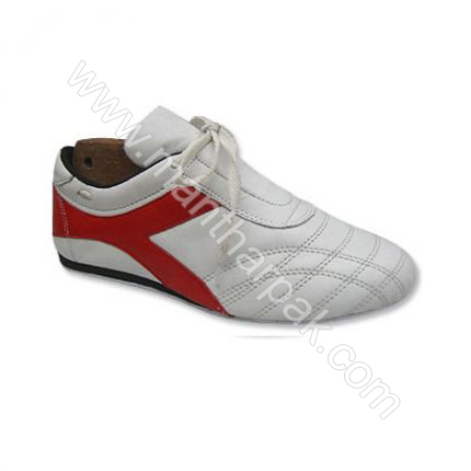 Teakwando Shoes 
